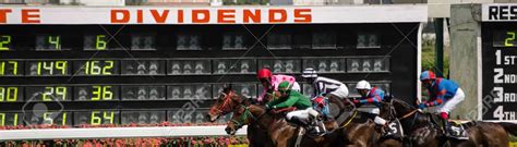 bovada horses|Bet on Horses Futures Props odds, lines, spread and props.